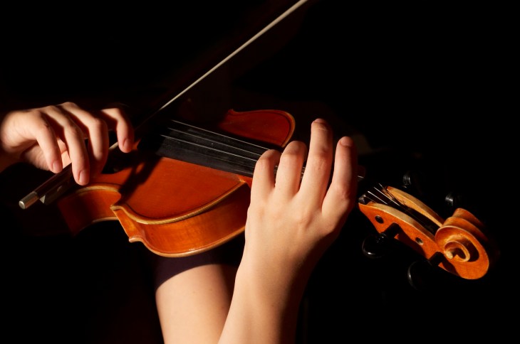 Musician playing violin isolated on black